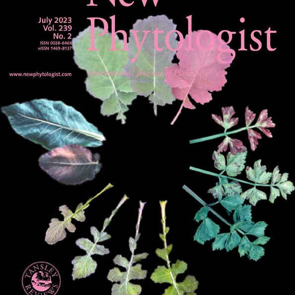 Home-based microbial solution to boost crop growth in low-fertility soil