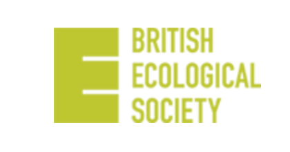 Linking rhizosphere soil microbial activity and plant resource acquisition strategy