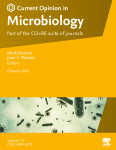Streptomyces behavior and competition in the natural environment