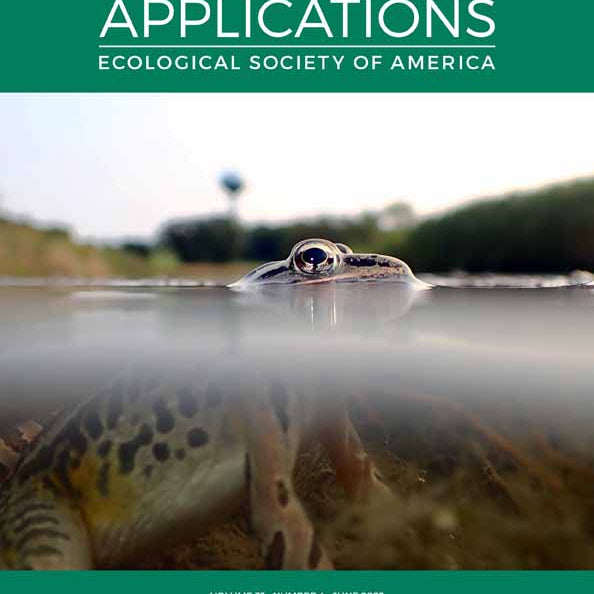 Soil Surface Treatments and Precipitation Timing Determine Seedling Development across Southwestern US Restoration Sites