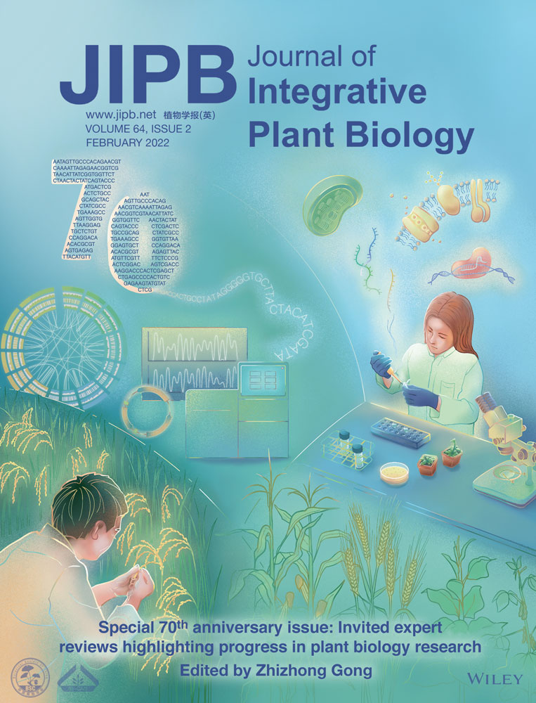 The root microbiome: Community assembly and its contributions to plant fitness