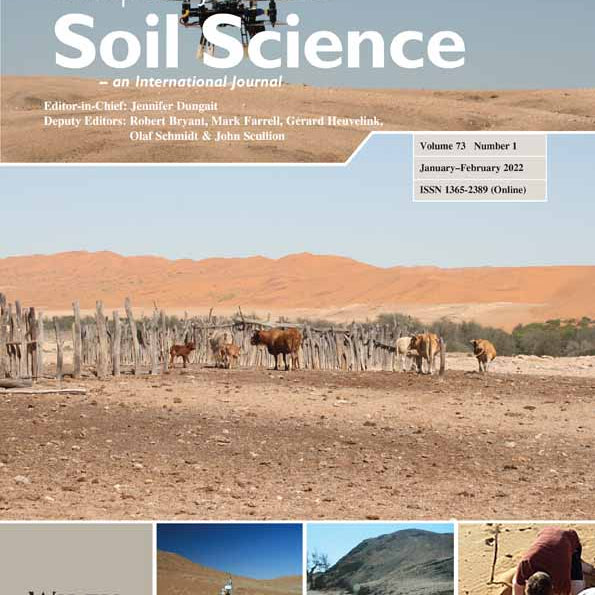 Are plant roots only “in” soil or are they “of” it? Roots, soil formation and function