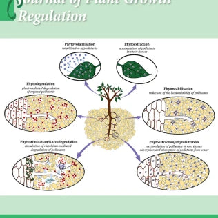 Plant Growth–Promoting Rhizobacteria Enhance Salt Tolerance in Oat by Upregulating the Antioxidant System and Promoting Root Growth