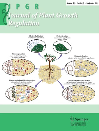 Plant Growth–Promoting Rhizobacteria Enhance Salt Tolerance in Oat by Upregulating the Antioxidant System and Promoting Root Growth