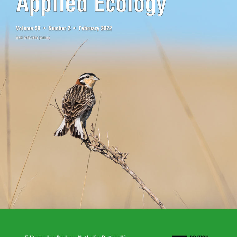 Does restoration of plant diversity trigger concomitant soil microbiome changes in dryland ecosystems?