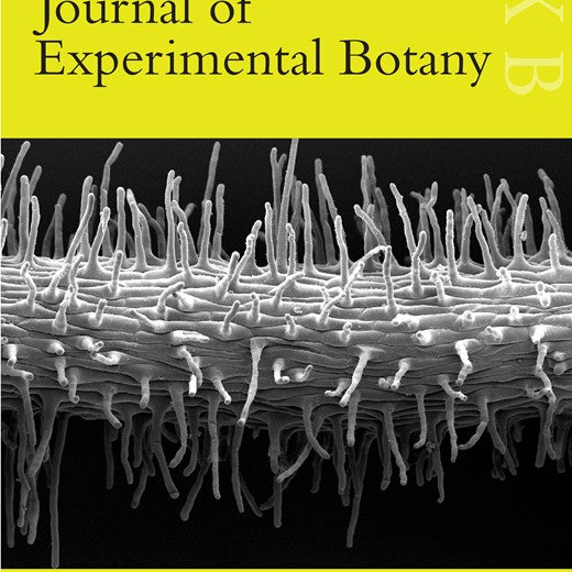 Genetics and genomics of root system variation in adaptation to drought stress in cereal crops