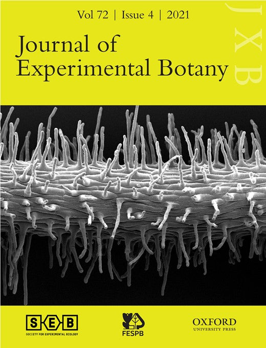 Genetics and genomics of root system variation in adaptation to drought stress in cereal crops