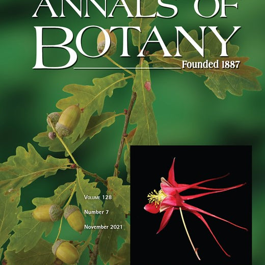 Root hair phenotypes influence nitrogen acquisition in maize
