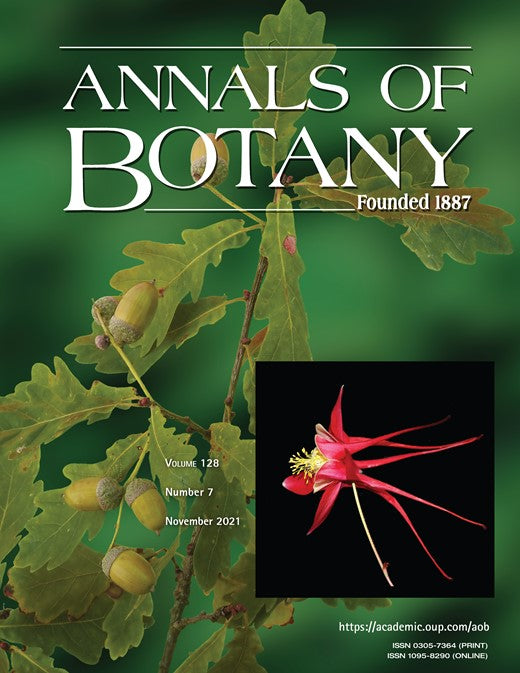 Root hair phenotypes influence nitrogen acquisition in maize