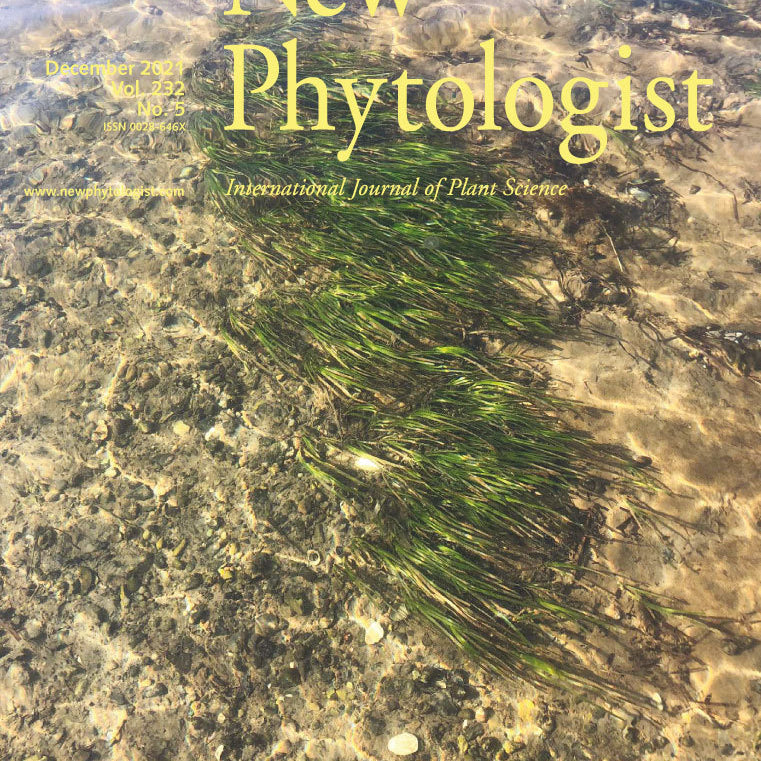 Drought induces shifts in soil fungal communities that can be linked to root traits across 24 plant species