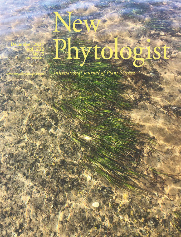 Drought induces shifts in soil fungal communities that can be linked to root traits across 24 plant species