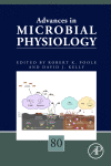 Chapter Five - How Streptomyces thrive: Advancing our understanding of classical development and uncovering new behaviors