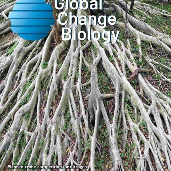 Soil organic matter priming: The pH effects