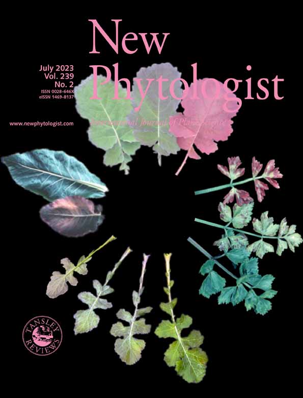 Home-based microbial solution to boost crop growth in low-fertility soil