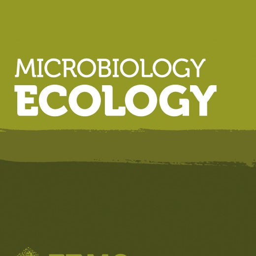 Water deficits shape the microbiome of Bermudagrass roots to be Actinobacteria rich
