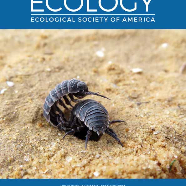 Traits of soil bacteria predict plant responses to soil moisture