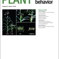 Sulfur nutrition and its role in plant growth and development