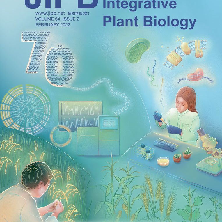 The root microbiome: Community assembly and its contributions to plant fitness