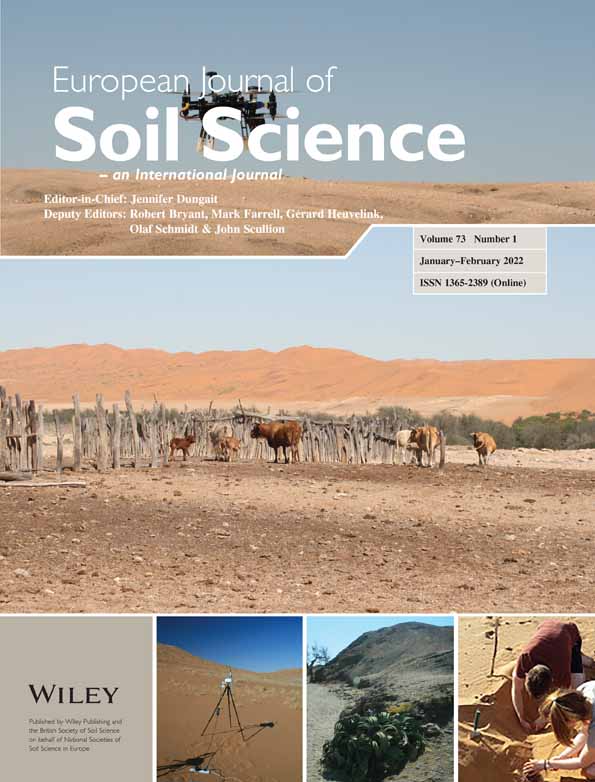 Are plant roots only “in” soil or are they “of” it? Roots, soil formation and function