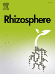 Streptomyces consortium improved quality attributes of bell pepper fruits, induced plant defense priming, and changed microbial communities of rhizosphere under commercial greenhouse conditions