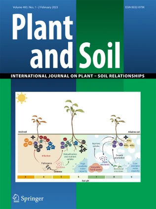 Root anatomy and soil resource capture